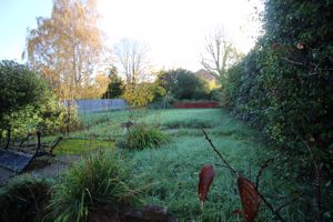 Photo 15- click for photo gallery